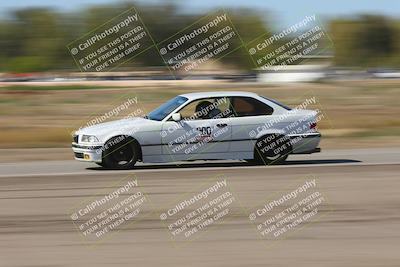 media/Oct-04-2025-OnGrid (Sat) [[44bd565ffa]]/Green Group/Grapevine/